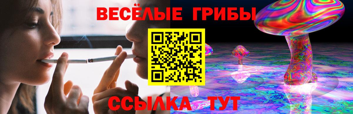 Галлюциногенные грибы ЛСД  наркошоп  Люберцы  Вход с VPN 